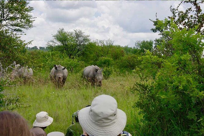 10 Day Zimbabwe and Chobe NP Tour - Key things to know before you go