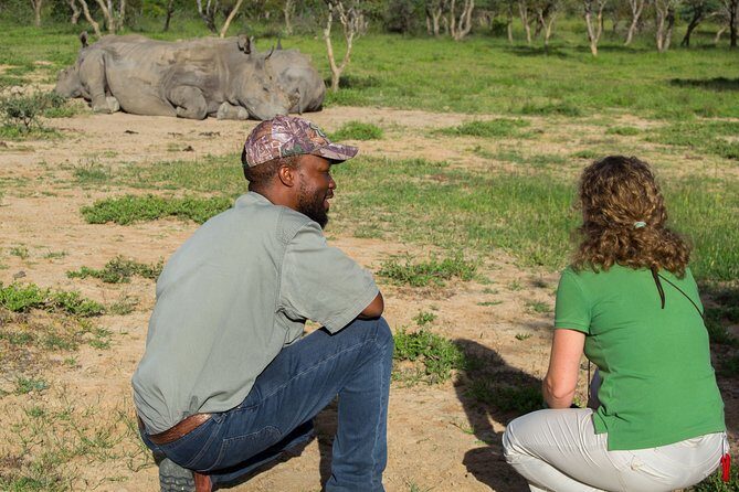 10 Day Zimbabwe and Chobe NP Tour - Hwange National Park: elephant country with predator timing