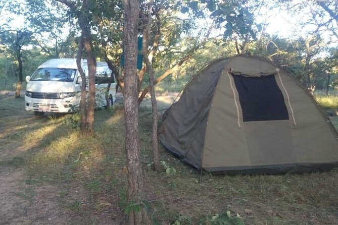 13 Days Best Of Zimbabwe - Vumba Botanical Gardens: a softer pace in the middle of the trip
