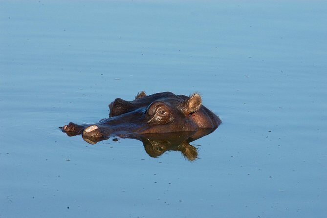 13 Days Best Of Zimbabwe - Nyanga trout and pit structures: different Zimbabwe, different mood
