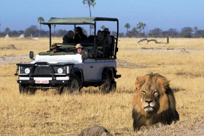 2-Day Camping Safari in Chobe National Park from Victoria Falls - Crossing from Victoria Falls into Botswana at Kazungula