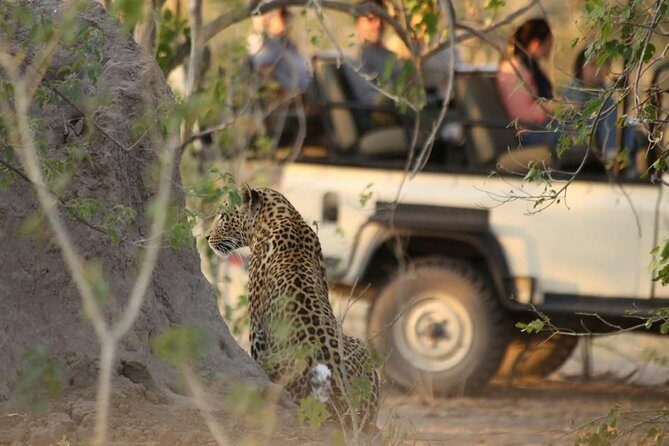 2-Day Camping Safari in Chobe National Park from Victoria Falls - Overnight camping in Chobe: dinner in the bush and sleep under stars