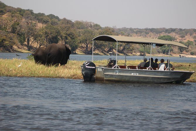 2-Day Camping Safari in Chobe National Park from Victoria Falls - Price and value: is $525 fair for what you’re getting?