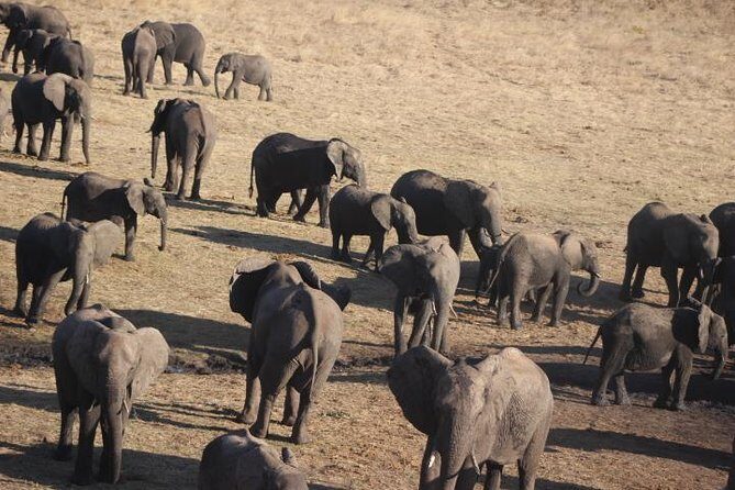 2-Day Camping Safari in Chobe National Park from Victoria Falls - What to pack for a Chobe boat + tent night (no drama)