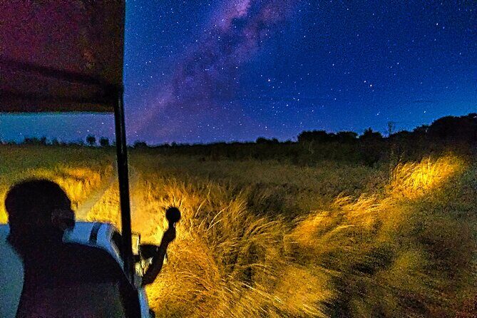2 Hour Stargazing Tour in Victoria Falls NP Area in 4x4 - Key Highlights You Should Know Before You Go