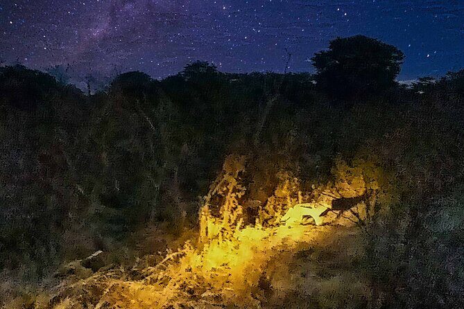 2 Hour Stargazing Tour in Victoria Falls NP Area in 4x4 - How to Prepare So You Don’t Miss the Best Parts