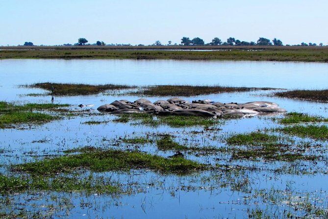 3 Day Chobe National Park Camping Safari - Where Chobe Sits in the Big Map: Victoria Falls to Botswana Wildlife