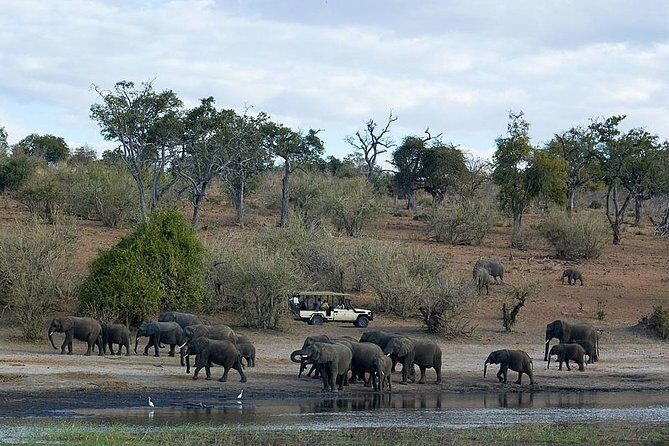 3 Day Chobe National Park Camping Safari - Value for $1,515: What You’re Actually Buying