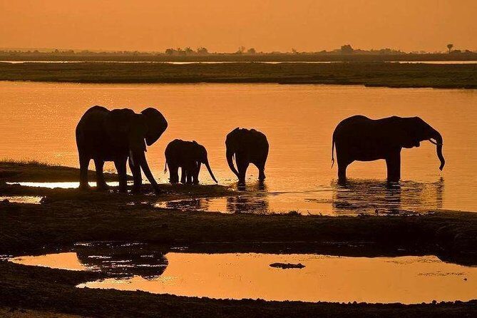 3 Day Chobe National Park Camping Tour - River cruise and game drives: two angles on the same wildlife