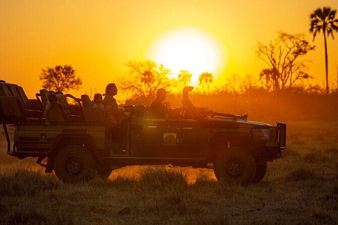 3-Day Victoria Falls Safari with Dinner Cruise - Meeting Up in Victoria Falls: Airport Pickup and a Smooth Start