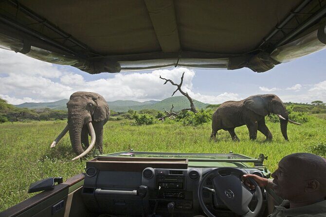3-Day Victoria Falls Safari with Dinner Cruise - Day 3 Airport Transfer: Keeping Your Departure Stress-Free