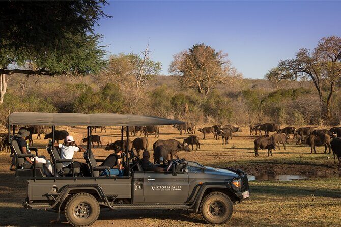 3-Day Victoria Falls Safari with Dinner Cruise - Price and Value: What $850 Covers and What You Still Pay Separately