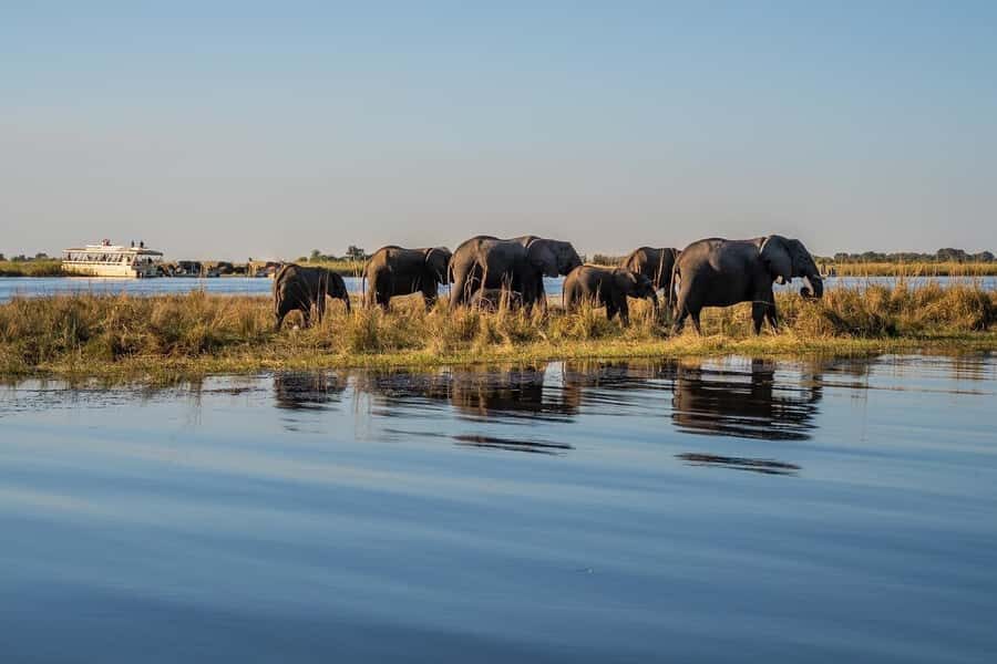 3 Days Explore Zambia, Zimbabwe and Chobe Park in Botswana - Key things I’d plan around