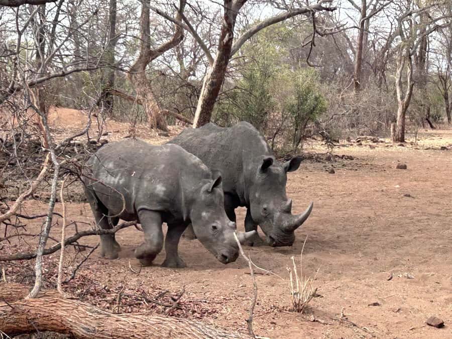 3 Days Explore Zambia, Zimbabwe and Chobe Park in Botswana - Day 2: Mukuni Village Leya culture and the Zimbabwe-side Victoria Falls