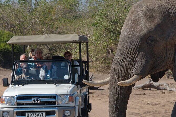 3 Days in Victoria Falls & Chobe National Park Combo - Why Victoria Falls plus Chobe works better as a 3-day combo