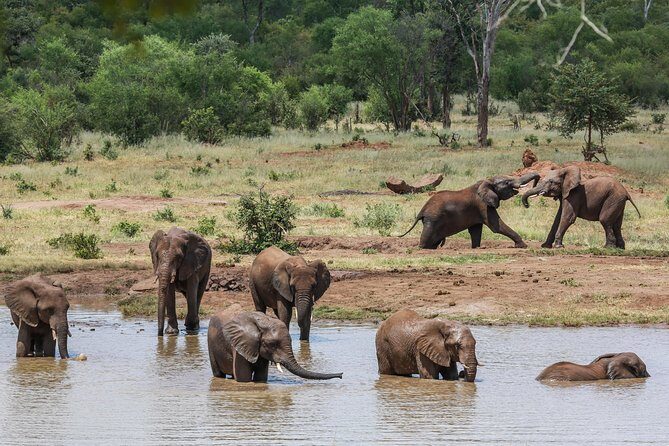 4-Day Discover Victoria Falls, Chobe and Hwange Park - Hwange National Park: villages, Hwange Colliery, and full-day 4x4 game drives