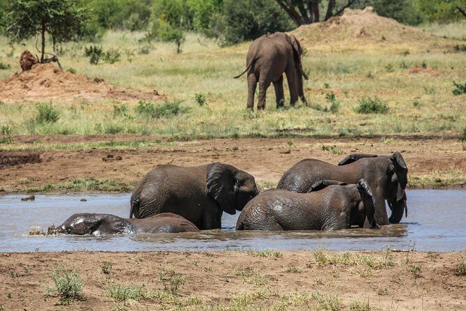 4-Day Discover Victoria Falls, Chobe and Hwange Park - Price and value: what’s included, what you’ll pay separately