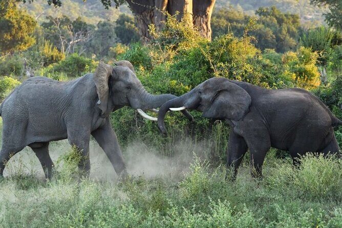 4 Days Victoria Falls Safari Tour & Chobe National Park game drive - Price and Value: Is $1,850 Per Person Fair for This 4-Day Package?