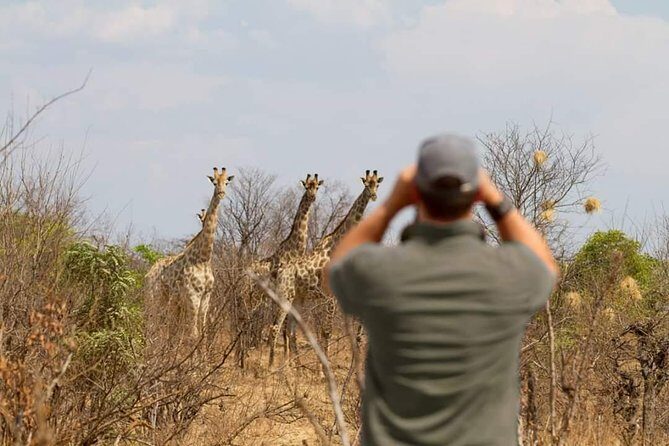 4 Days Victoria Falls Zimbabwe with Chobe National Park Safari Botswana and Livingstone Zambia - Price and logistics: what $1,200 buys you (and what it doesn’t)