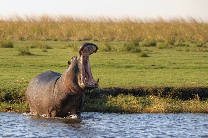 5-DAY Victoria Falls and Chobe National Park - Key highlights you’ll feel on this trip