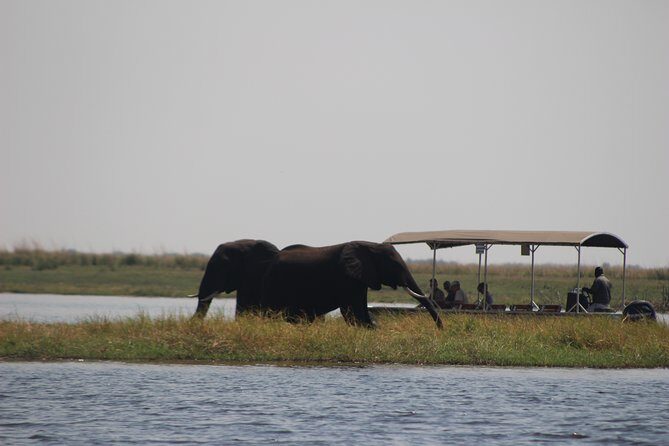 5-DAY Victoria Falls and Chobe National Park - Victoria Falls opener at Elephant Hills and the Zambezi sunset cruise