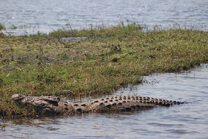 5-DAY Victoria Falls and Chobe National Park - Price and logistics: what $1,485.95 per person really buys you