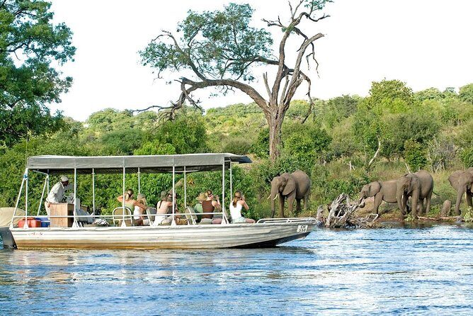 5 Day Victoria Falls and Chobe National Park Luxury Accommodated Tour - Chobe Crocodile Farm on Day Five: A Practical Finale Before Victoria Falls