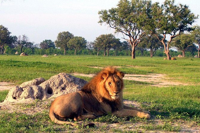5 Day Victoria Falls and Hwange National Park Accommodated Safari Tour - Price and value: what $1,800 per person is really buying
