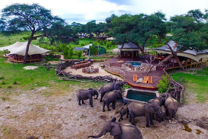 5 Day Victoria Falls and Hwange National Park Accommodated Safari Tour - Hwange National Park: why three separate days matter