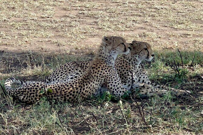 5-Day Visit Zimbabwe, Zambia, Botswana & Namibia Island - Day 2: guided Victoria Falls from both Zimbabwe and Zambia