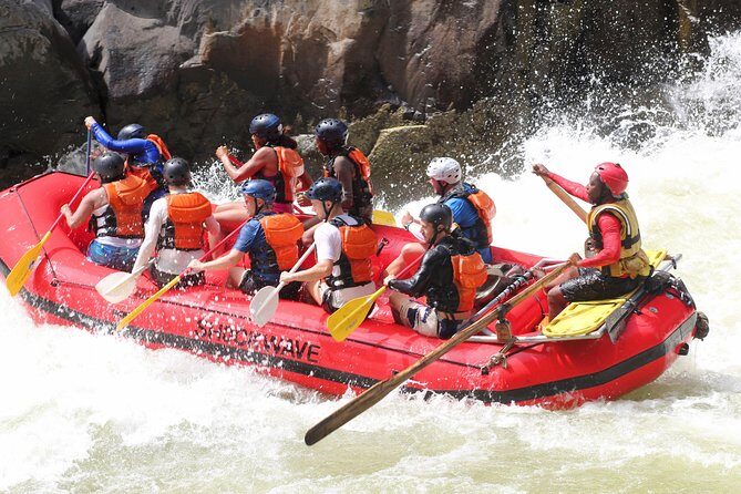 5 Days & 4 Nights Whitewater Rafting Victoria Falls - Day 5: Hippo Country, Crocodile Sunbathers, Then Back by Road
