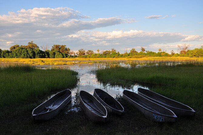 6 Days Victoria Falls Chobe Wildlife and Okavango Delta Tour - Key things I’d circle on your checklist
