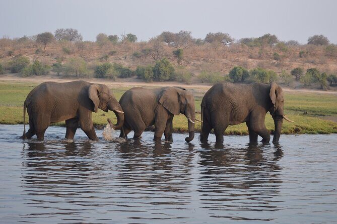 6 Days Victoria Falls Chobe Wildlife and Okavango Delta Tour - Okavango Delta: mokoro silence, island camping, and a guided walk