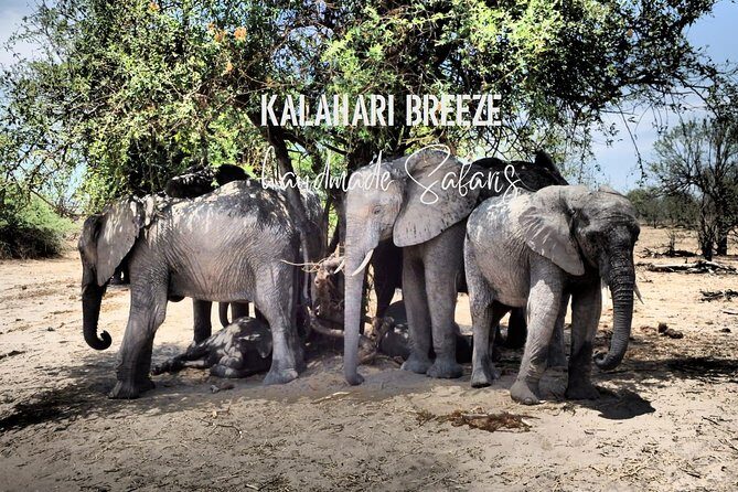 7 Day Highlights Of Botswana Overland Tour – ACCOMODATED (midrange) - Makgadikgadi Salt Pans and the moon-flat Ntwetwe