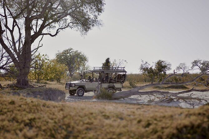 8 Day Chobe NP, Elephant Sands, Okavango Delta & Victoria Falls - Key highlights worth planning around