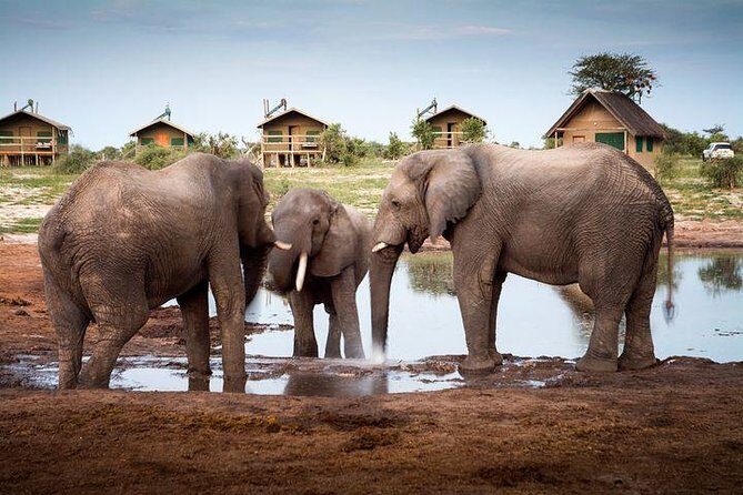 8 Day Highlights Of Botswana & Victoria Falls Overland Tour - Okavango Delta camping day: warm greetings, then walk or canoe, then shower time