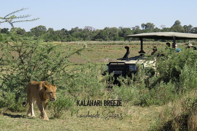 8 Day Highlights Of Botswana & Victoria Falls Overland Tour - Getting good value for the money: what’s included, what’s not, and why it matters