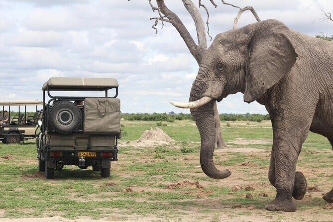 A 2 Day Victoria Falls & Chobe Safari Combo - Chobe National Park: A Full Day of Wildlife, Split Into Two Very Different Modes