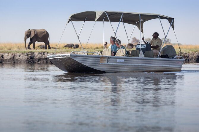 A 2 Day Victoria Falls & Chobe Safari Combo - Victoria Falls Bridge: Big Views and an Optional 111m Bungee
