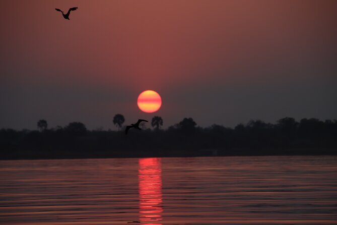 Adrenaline Jet Boat Safari in Victoria Falls - Service Notes That Actually Matter on Ride Day
