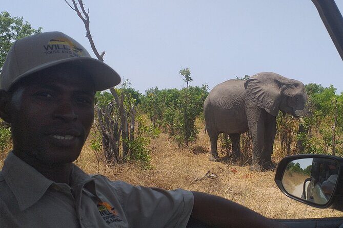 Airport, Hotel and local transfers in Victoria Falls - Private vs Public Transfers in a Small 20-Person Group