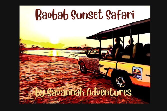 Baobab-Sunrise-Sunset-Vulture-Moonlight Safaris, 4 Options - Key Things I’d Prioritize Before You Go