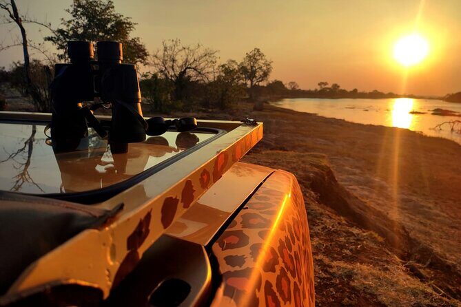 Baobab-Sunrise-Sunset-Vulture-Moonlight Safaris, 4 Options - From Your Hotel to a Game-Viewer Safari (What That Feels Like)