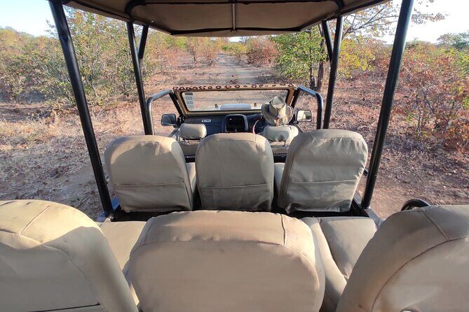 Baobab-Sunrise-Sunset-Vulture-Moonlight Safaris, 4 Options - Price and Value: $80 for a Real Safari Feel