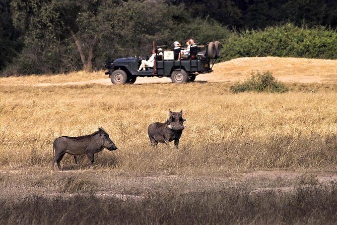 Birdwatching Cruise in Zambezi River with Breakfast - Key takeaways before you go