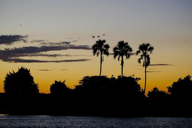 Birdwatching Cruise in Zambezi River with Breakfast - Weather reality: the cruise depends on good conditions