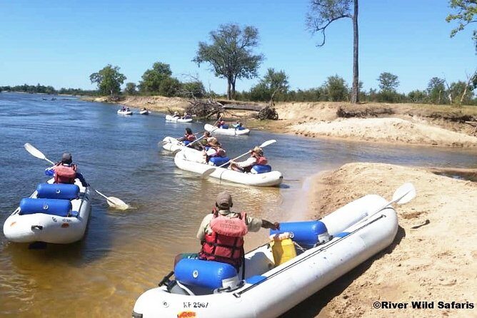 Canoeing Upper Zambezi 1 Day - River Wild Safaris - Why Paddle the Upper Zambezi Near Victoria Falls?