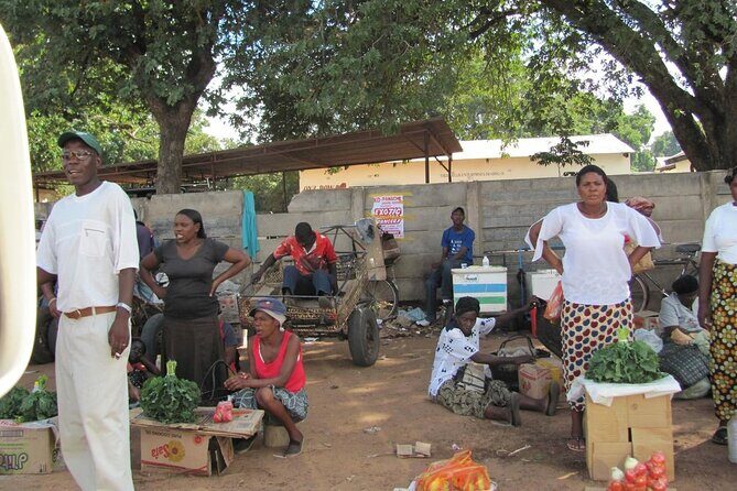 Chinotimba Township Tour (Zimbabwe) - Transfers, mobile tickets, and being a private group