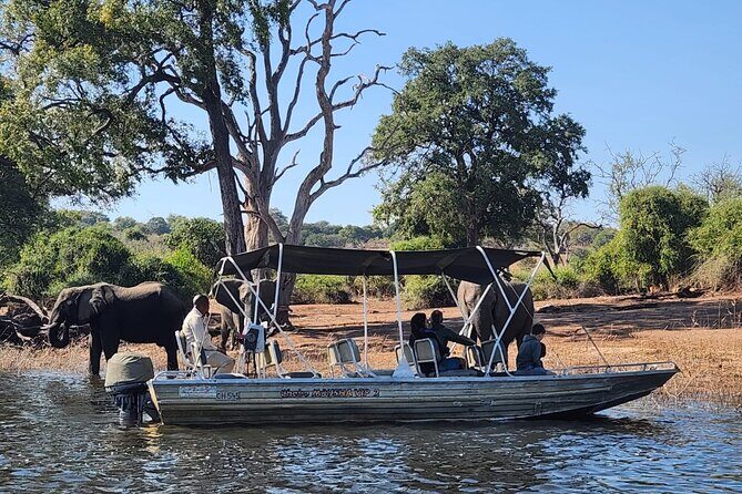 Chobe Botswana Day Trip River and Land Safari from Victoria Falls - Key things that make this Chobe day trip work