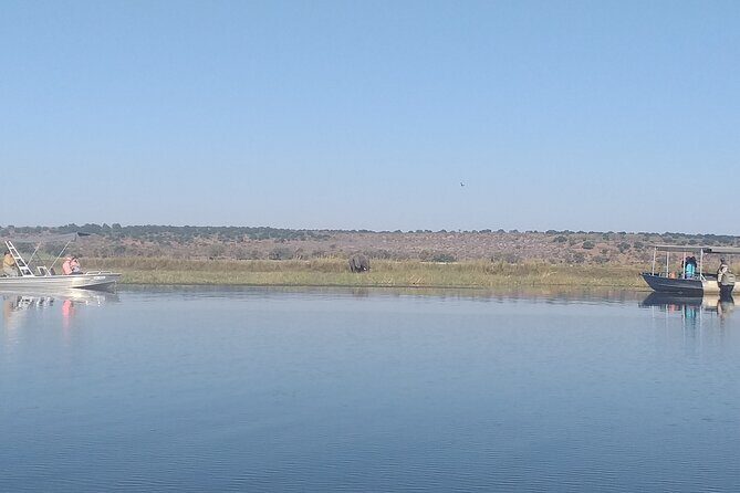 Chobe Botswana Full-Day Trip - Key highlights you’ll care about